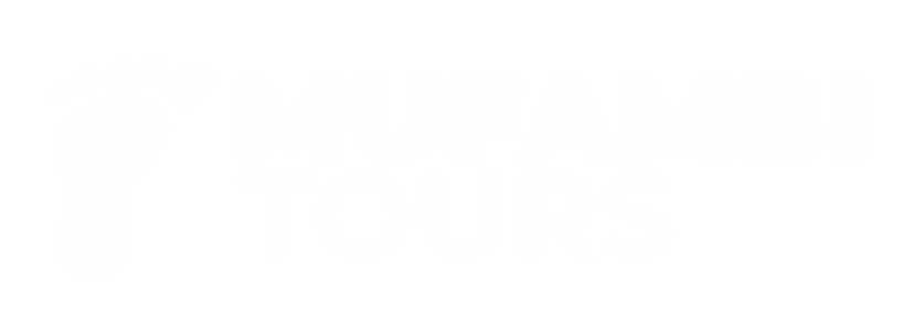 Logo Mufambi Tours in white